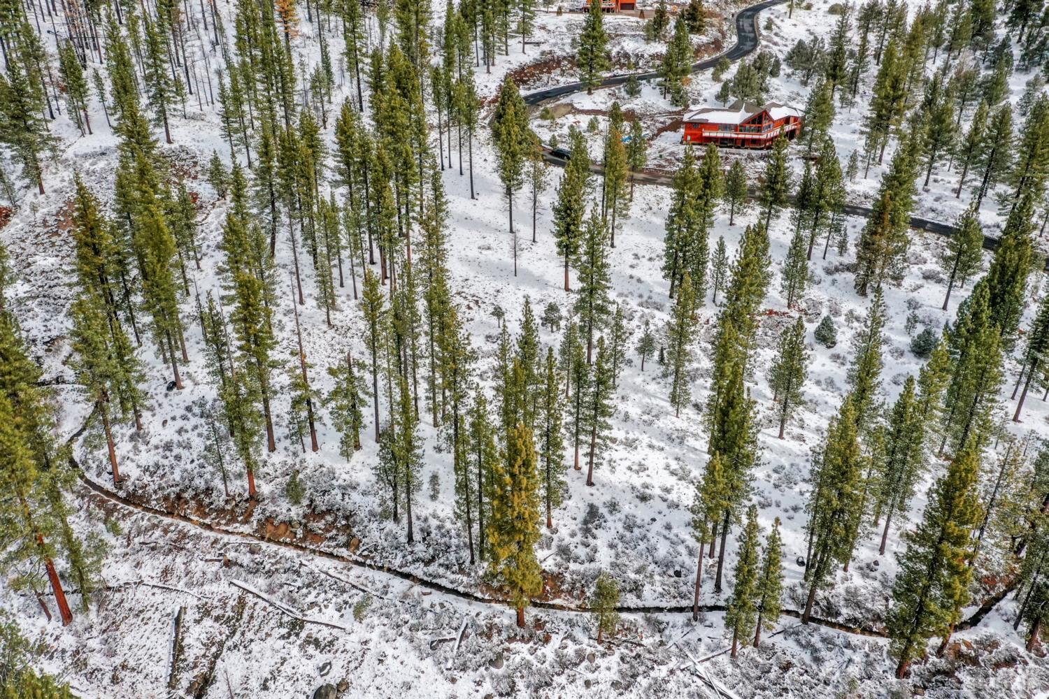 3 Raymond View Markleeville, CA 96120 - Photo 3 of 38