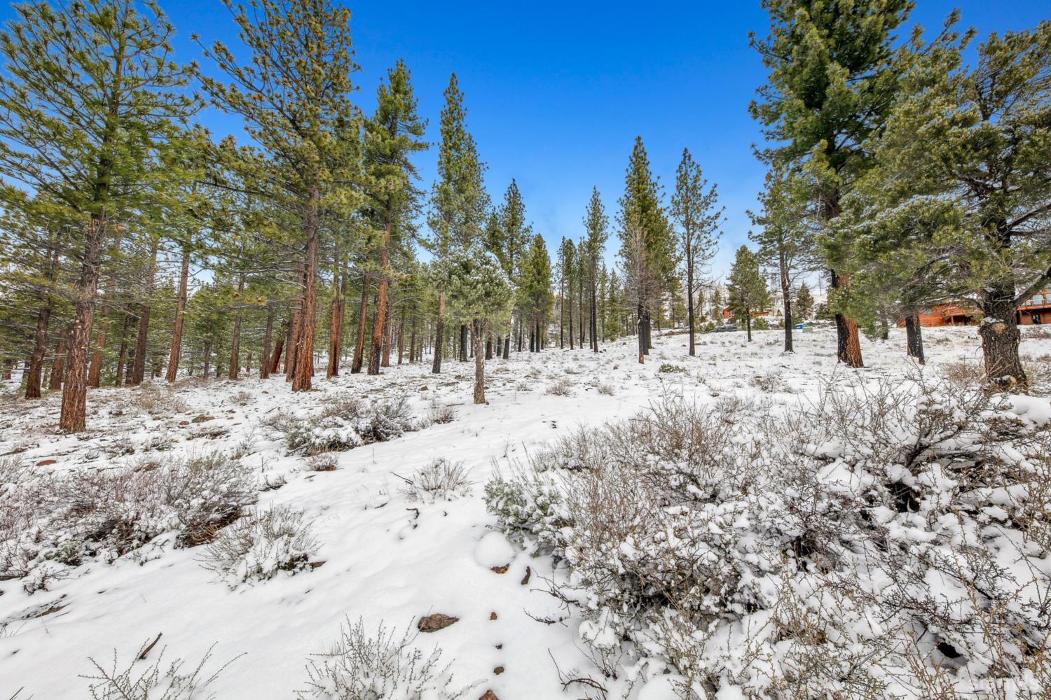 3 Raymond View Markleeville, CA 96120 - Photo 31 of 38