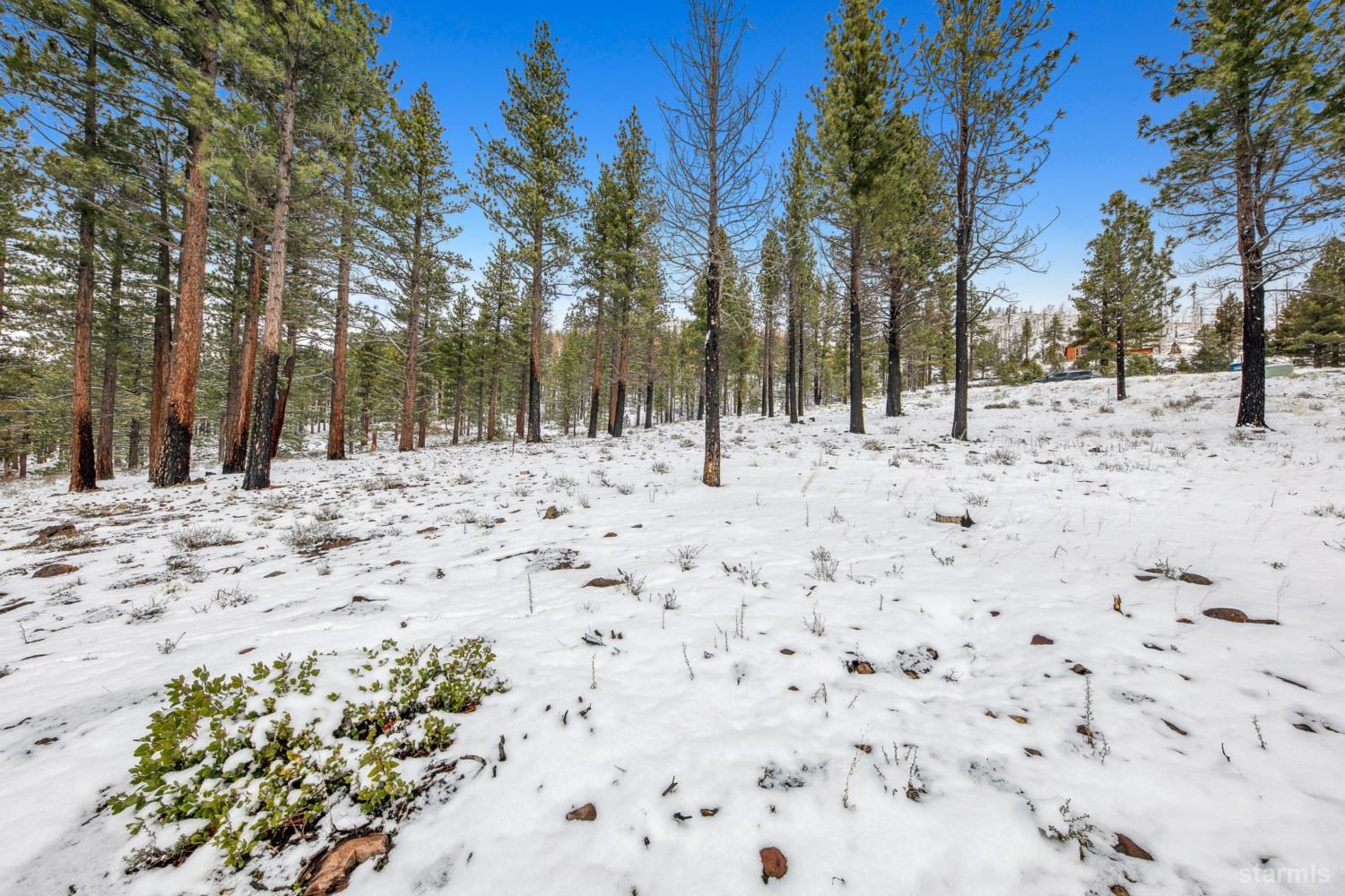 3 Raymond View Markleeville, CA 96120 - Photo 36 of 38