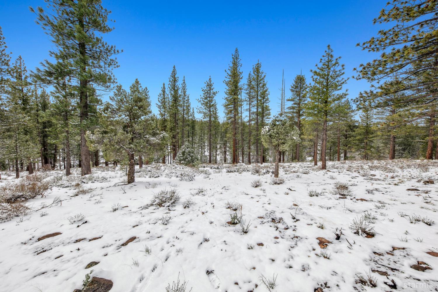 3 Raymond View Markleeville, CA 96120 - Photo 37 of 38