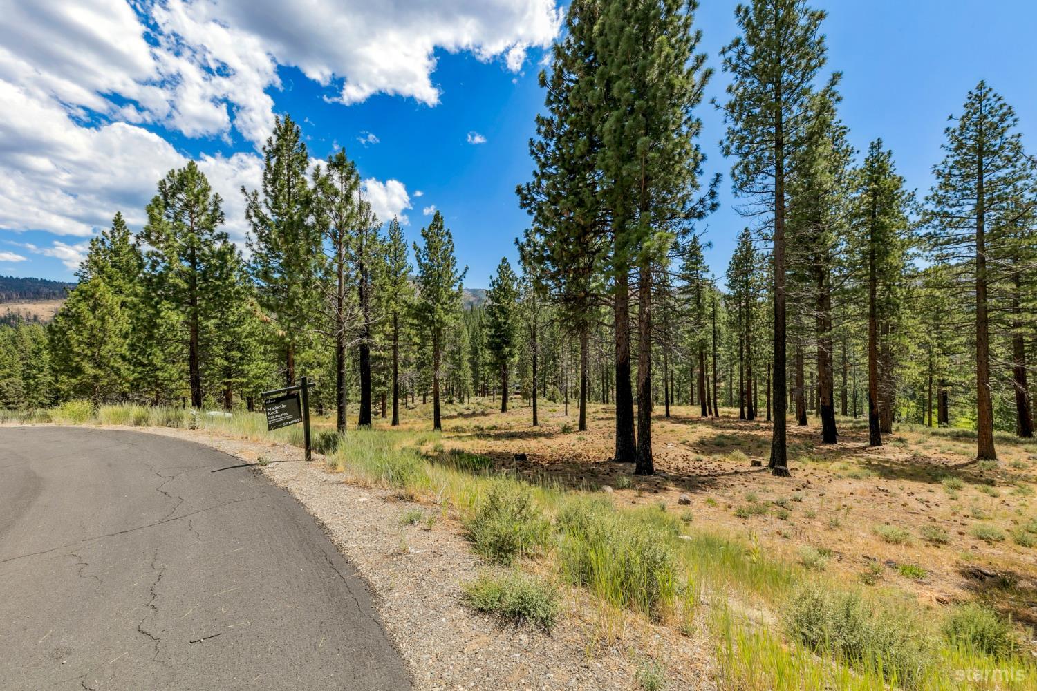 3 Raymond View Markleeville, CA 96120 - Photo 38 of 38