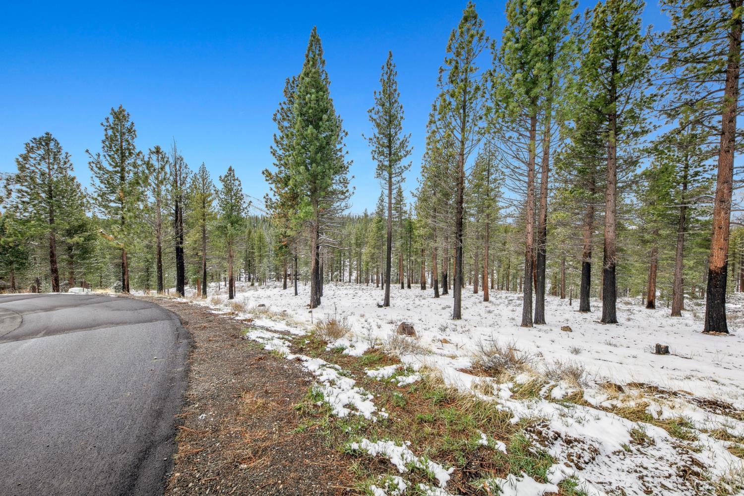 3 Raymond View Markleeville, CA 96120 - Photo 6 of 38