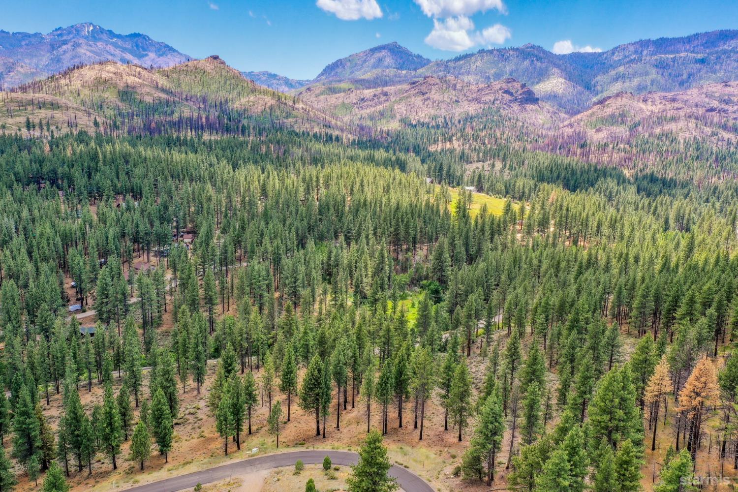 3 Raymond View Markleeville, CA 96120 - Photo 8 of 38