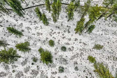 $120,000 | 3 Raymond View, Markleeville, CA 96120