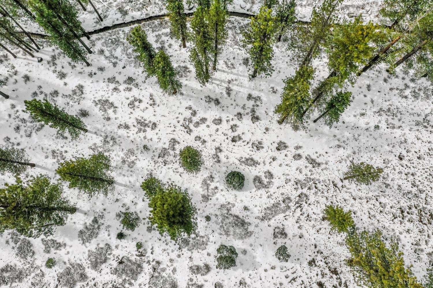 3 Raymond View Markleeville, CA 96120 - Photo 8 of 38