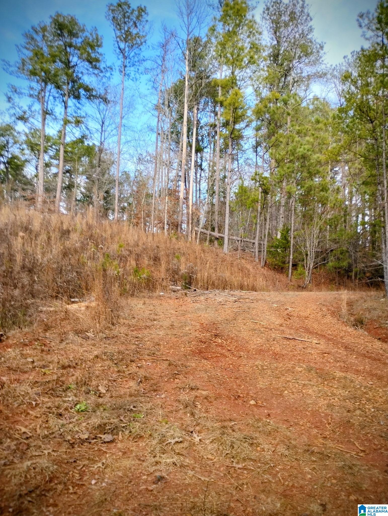Foster Circle Lineville, AL 36266 - Photo 3 of 14