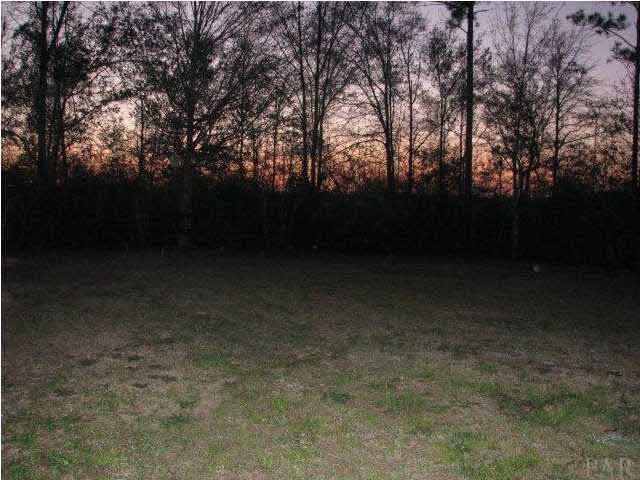 811 Jacks Branch Road Cantonment, FL 32533 - Photo 4 of 5