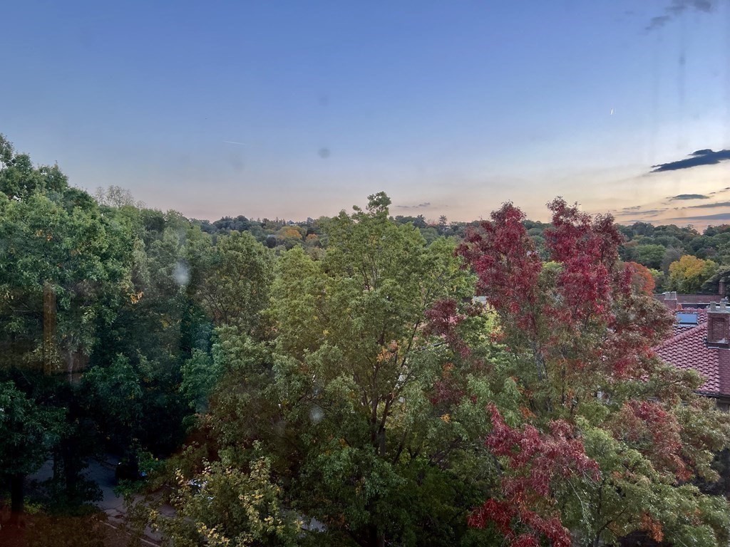 1731 Beacon Street, Unit 615 Brookline, MA 02445 - Photo 9 of 19