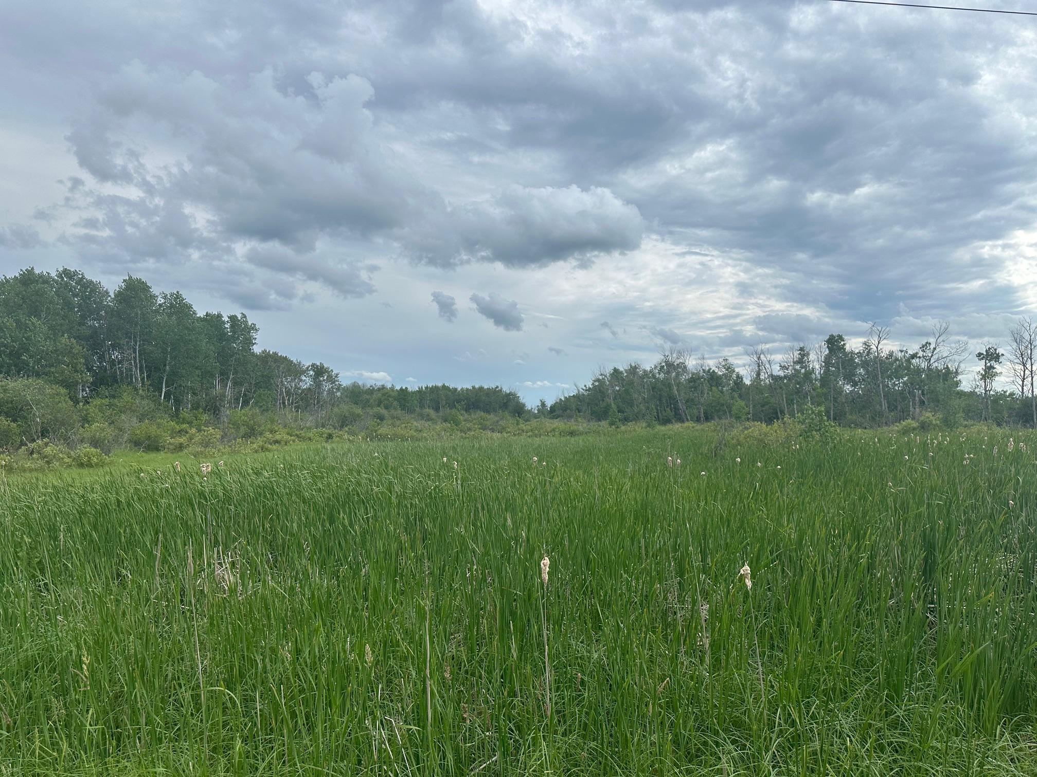 Tbd Tbd County Line Road Aldrich, MN 56434 - Photo 1 of 1 Gallery Image 1