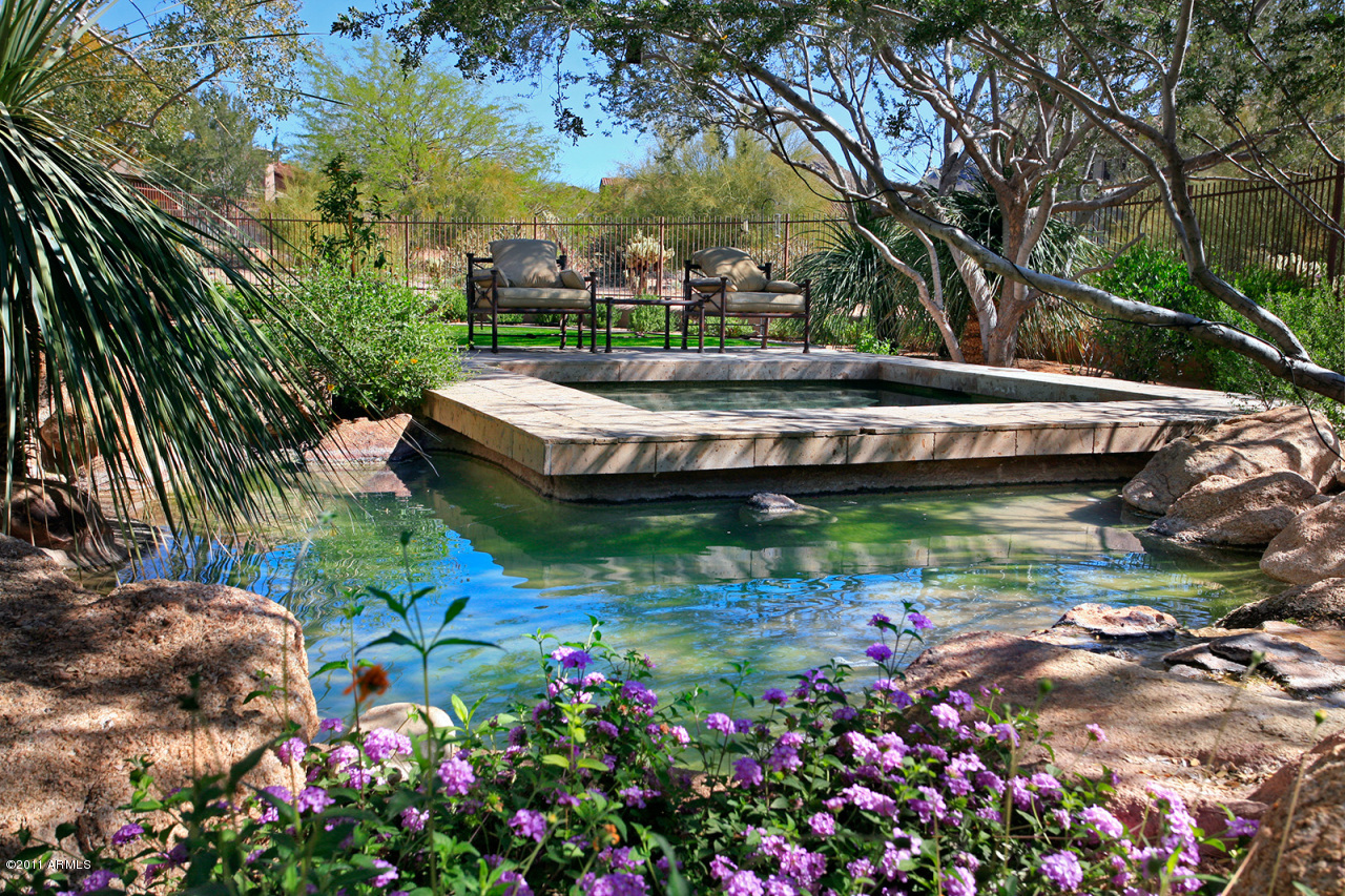 9280 East Mountain Spring Road Scottsdale, AZ 85255 - Photo 30 of 44 Spa and Koi Pond