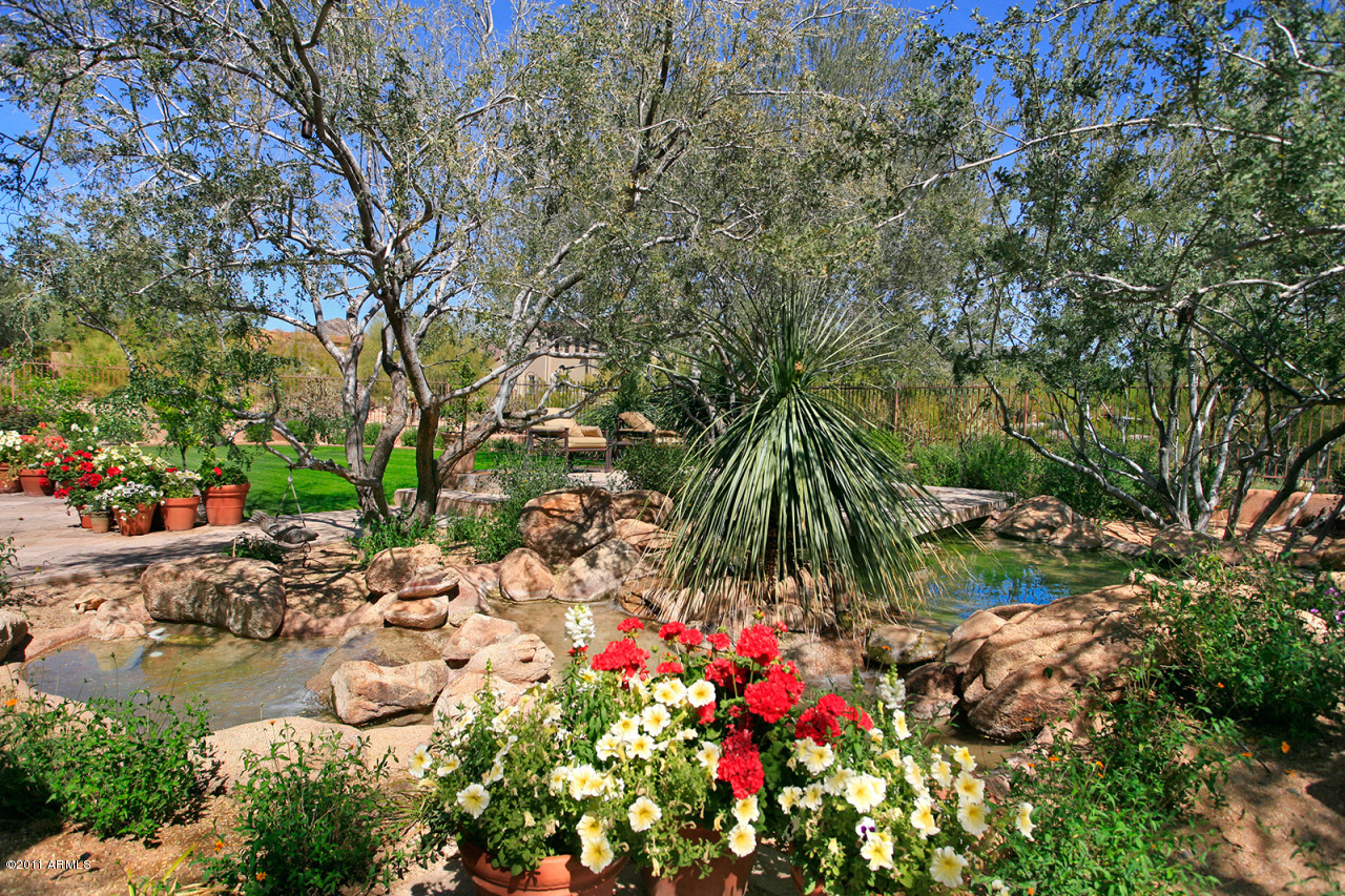 9280 East Mountain Spring Road Scottsdale, AZ 85255 - Photo 31 of 44 Backyard