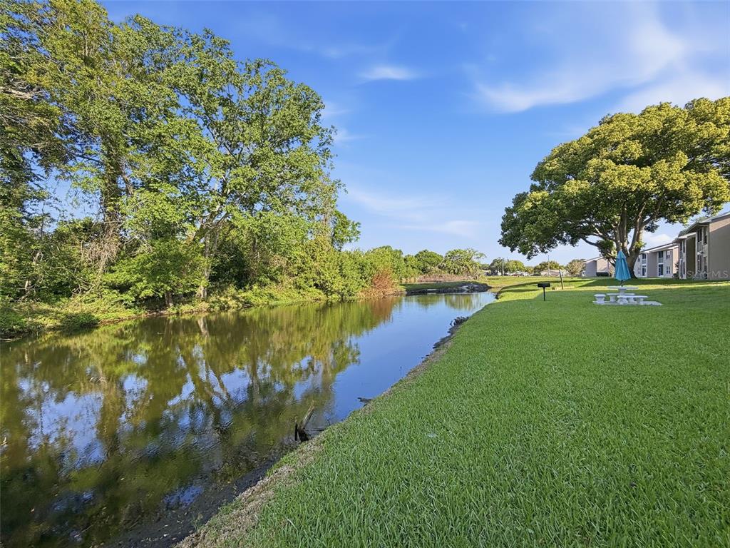 4833 Myrtle Oak Drive, Unit 12 New Port Richey, FL 34653 - Photo 43 of 54