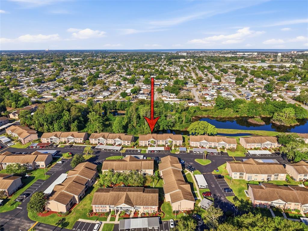 4833 Myrtle Oak Drive, Unit 12 New Port Richey, FL 34653 - Photo 44 of 54