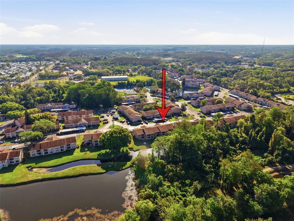 4833 Myrtle Oak Drive, Unit 12 New Port Richey, FL 34653 - Photo 45 of 54