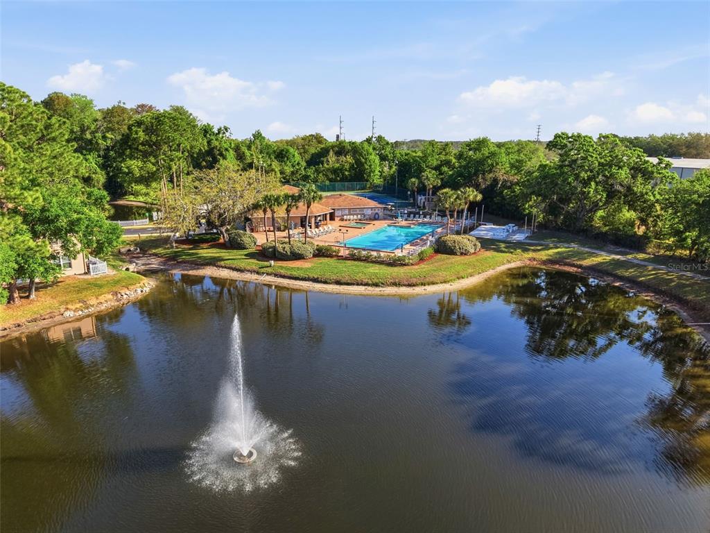 4833 Myrtle Oak Drive, Unit 12 New Port Richey, FL 34653 - Photo 47 of 54