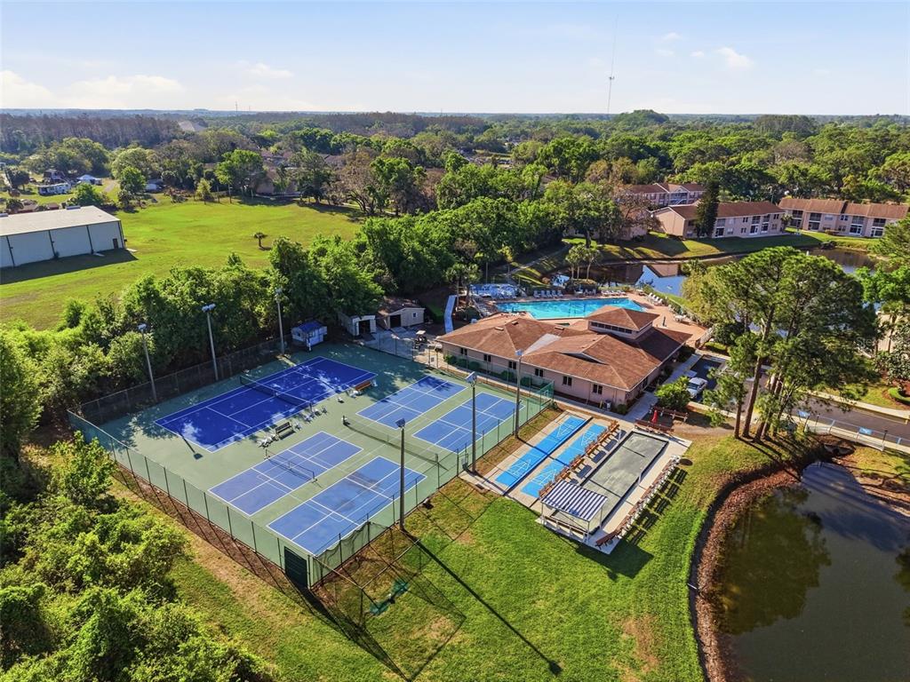 4833 Myrtle Oak Drive, Unit 12 New Port Richey, FL 34653 - Photo 51 of 54