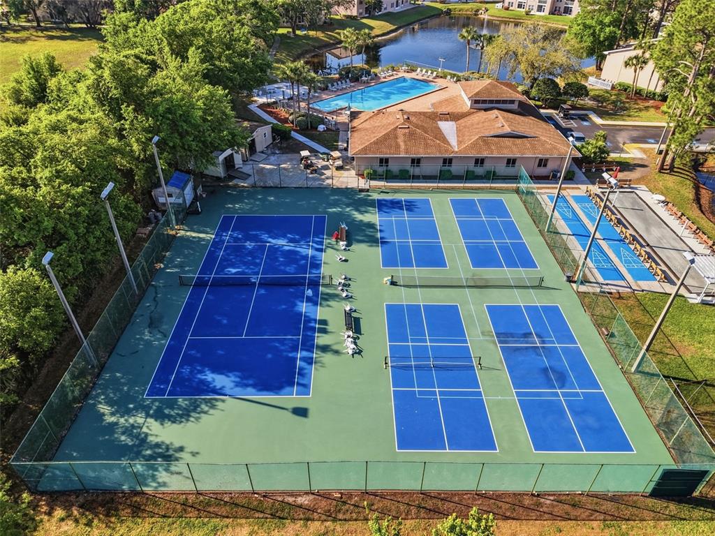 4833 Myrtle Oak Drive, Unit 12 New Port Richey, FL 34653 - Photo 52 of 54