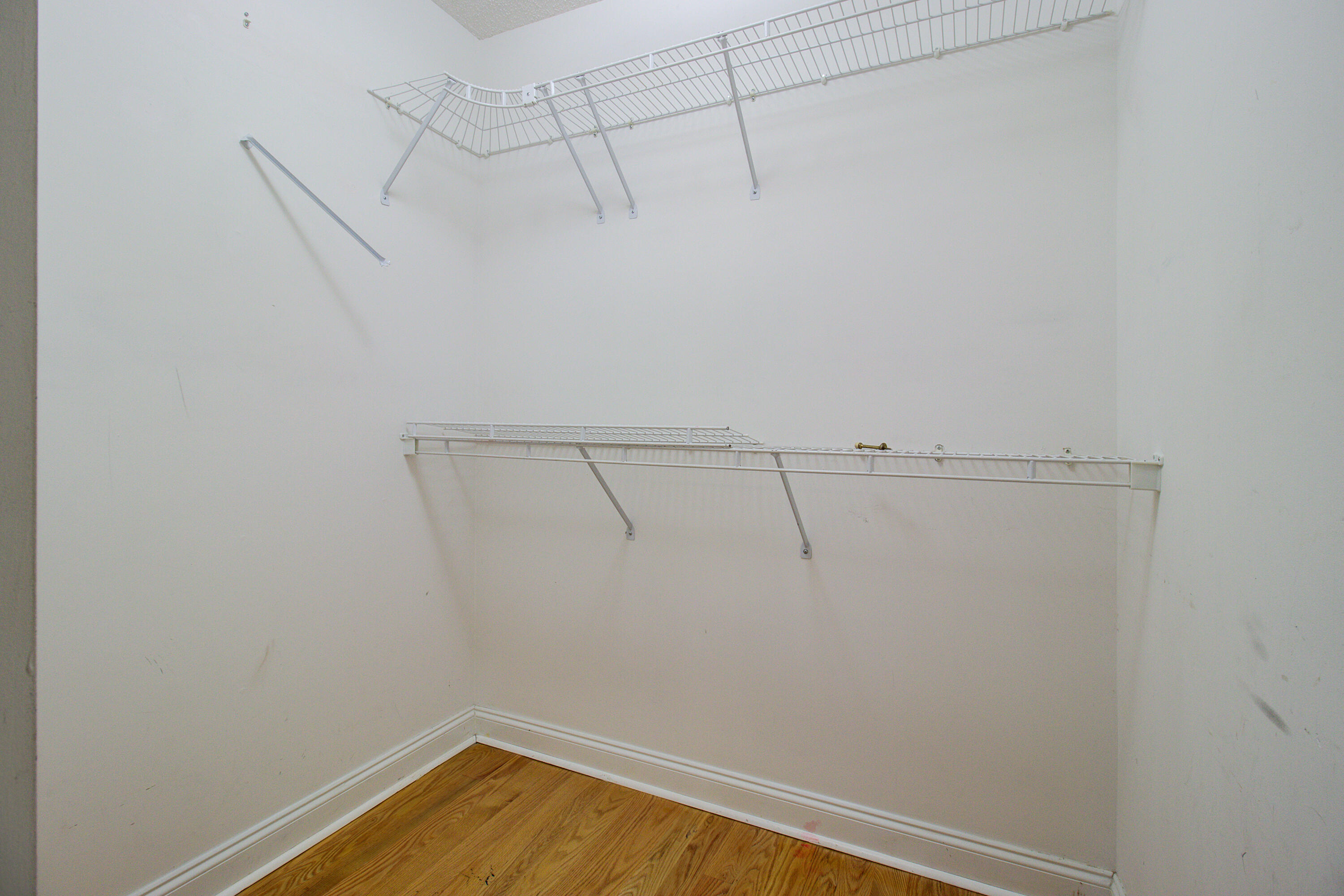 123 Spalding Circle Goose Creek, SC 29445 - Photo 29 of 43 Primary Closet
