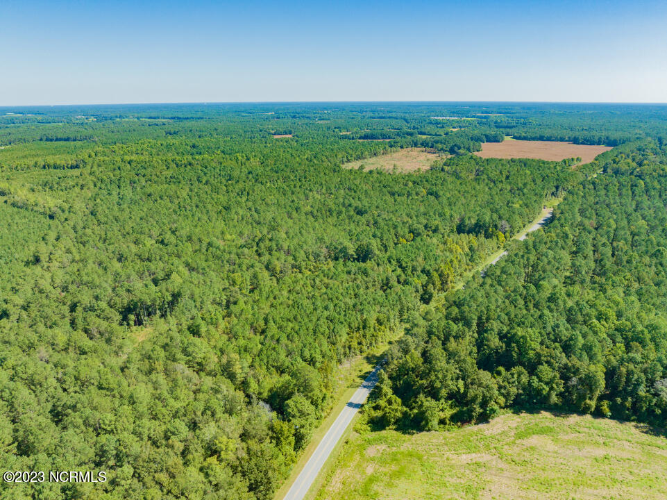 0 Trinity Church Road Magnolia, NC 28453 - Photo 15 of 47 15