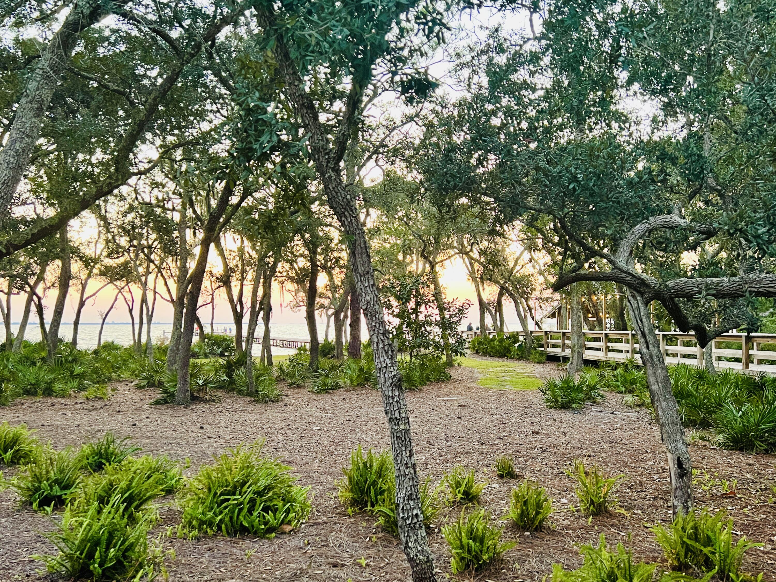 486 Fanny Ann Way Freeport, FL 32439 - Photo 52 of 58 a view of backyard with green space