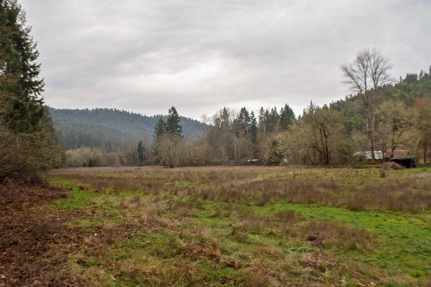 380 Elliott Creek Road Wilderville, OR 97543 - Photo 30 of 35 Field view from driveway with barn in th