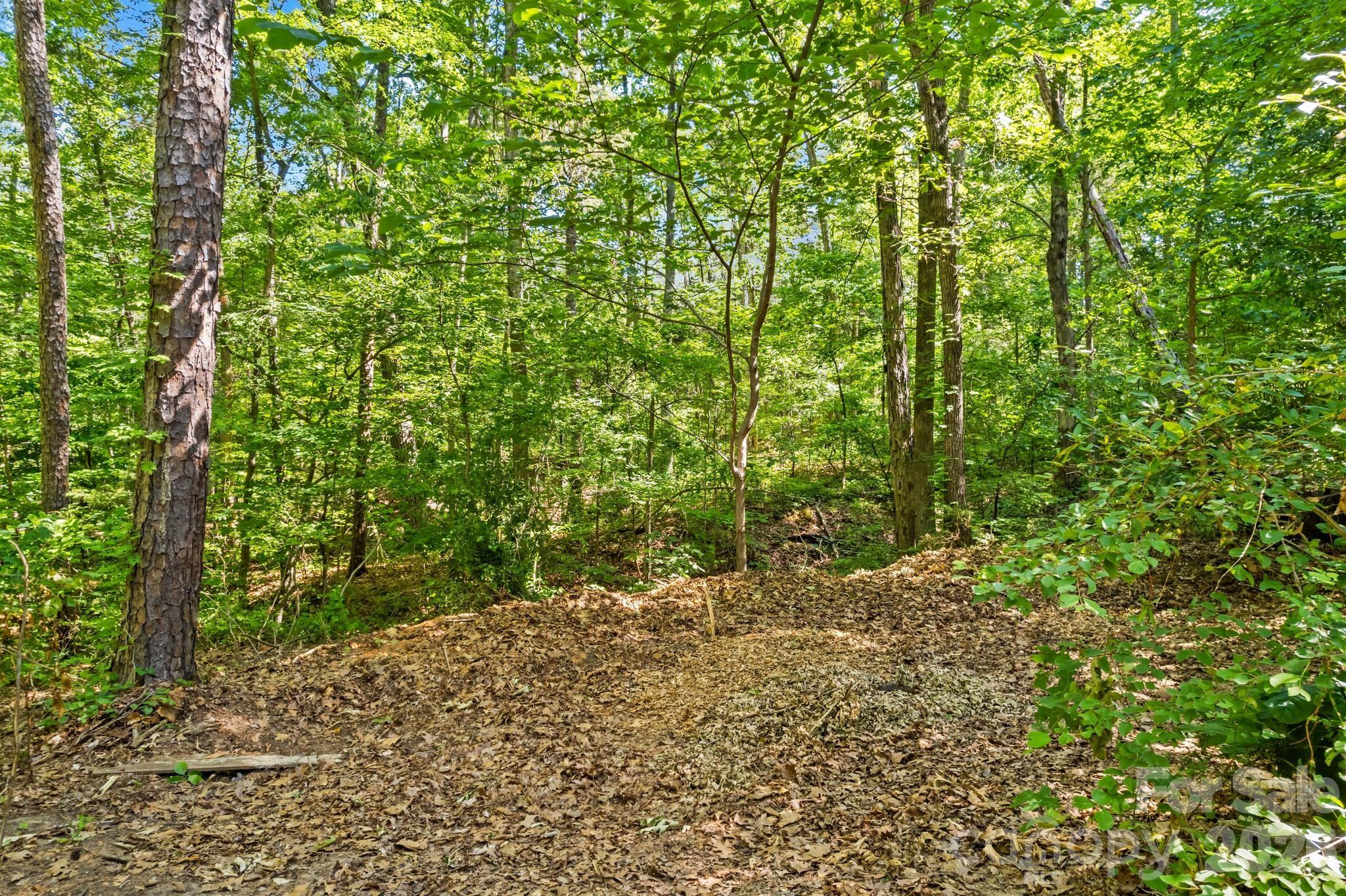 4455 Moose Road China Grove, NC 28023 - Photo 46 of 48