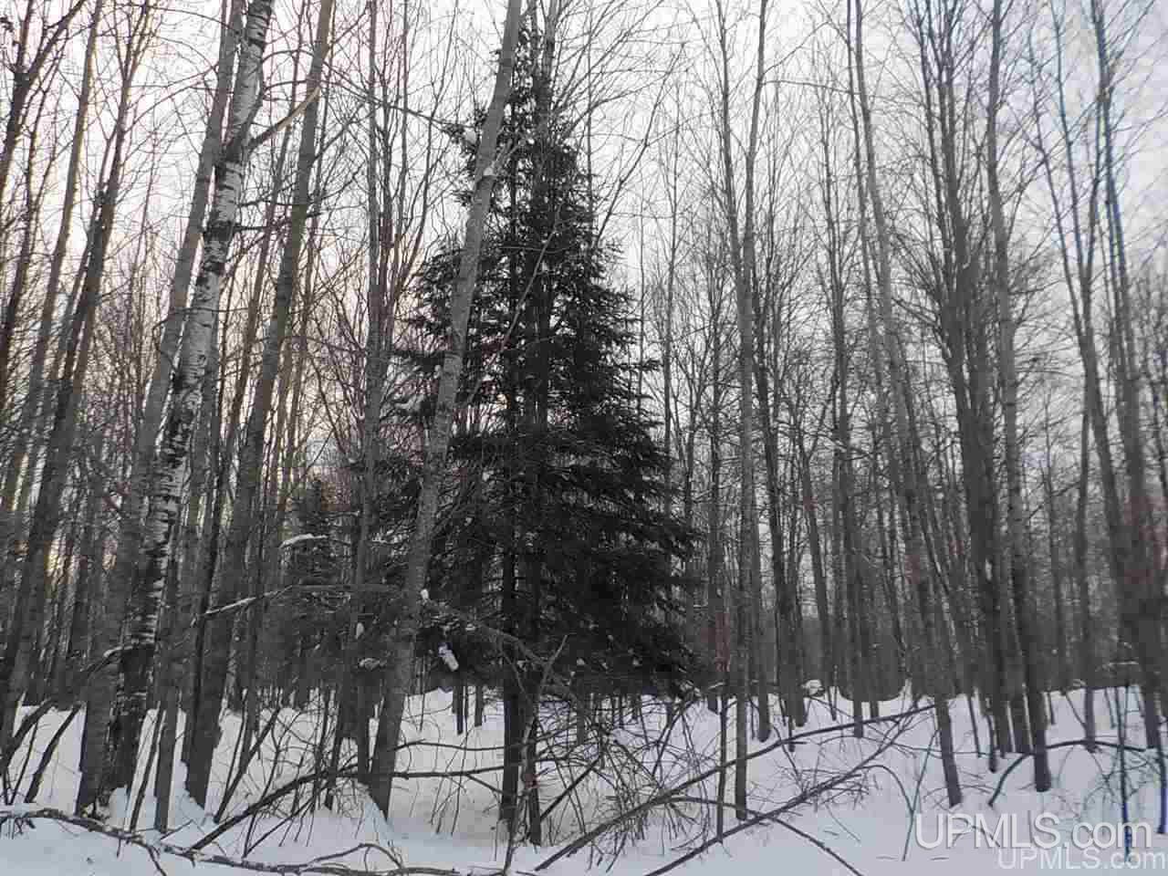 39.30-ac Armstrong Lake Road Crystal Falls, MI 49920 - Photo 20 of 24