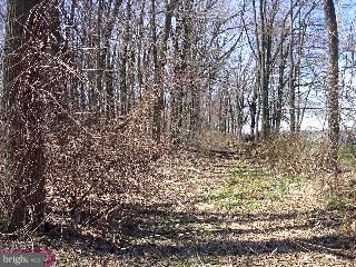 28 Goodfellow Road Elverson, PA 19520 - Photo 1 of 3 Gallery Image 1
