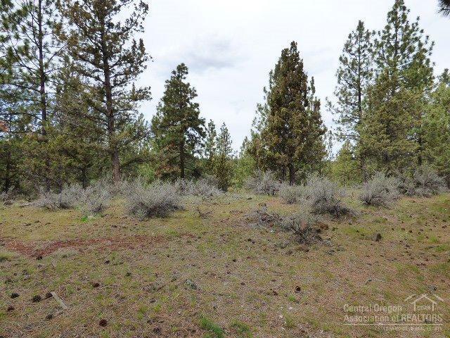 3202 McClellan Road Bend, OR 97702 - Photo 8 of 25 a view of a dry yard