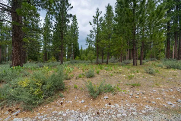 $39,000 | 573 Bobcat Trail, Clio, CA 96106