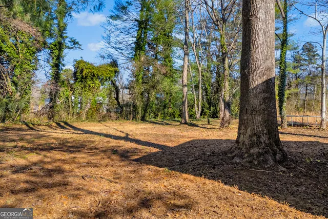 a view of a yard with plants and trees