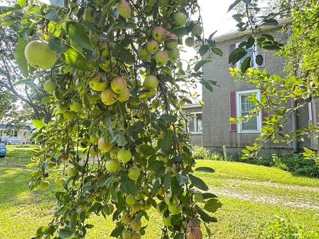 a yellow house with swimming pool in front of it