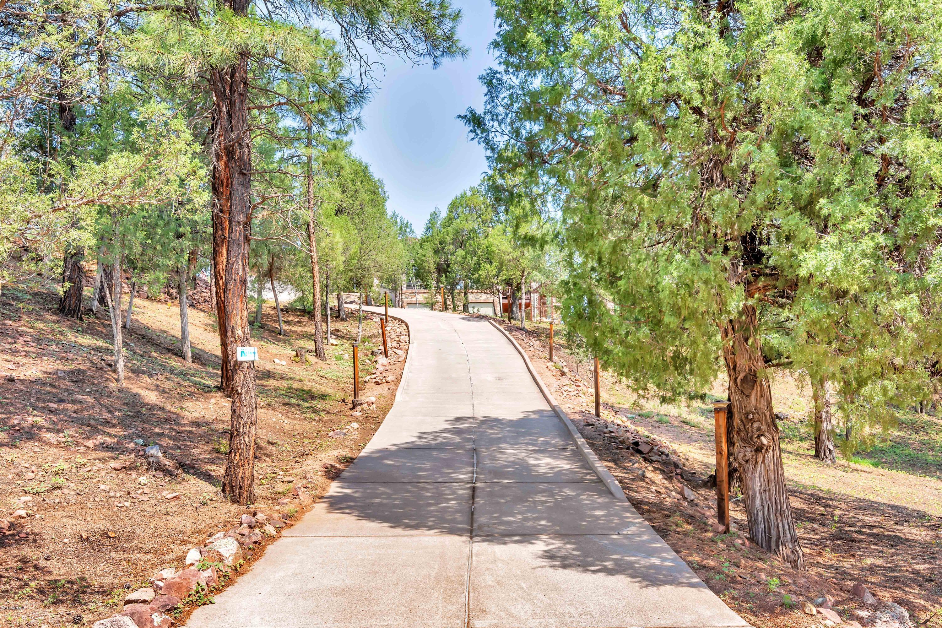 208 Edison Way Star Valley, AZ 85541 - Photo 4 of 57 Private Driveway