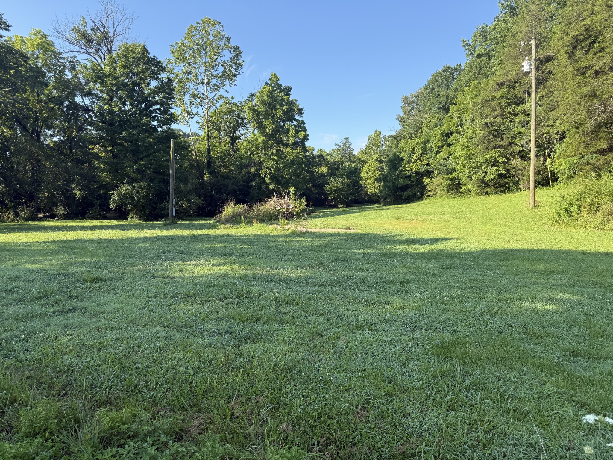 2407 Esque Sharp Road Mount Pleasant, TN 38474 - Photo 3 of 18 Gallery Image 3