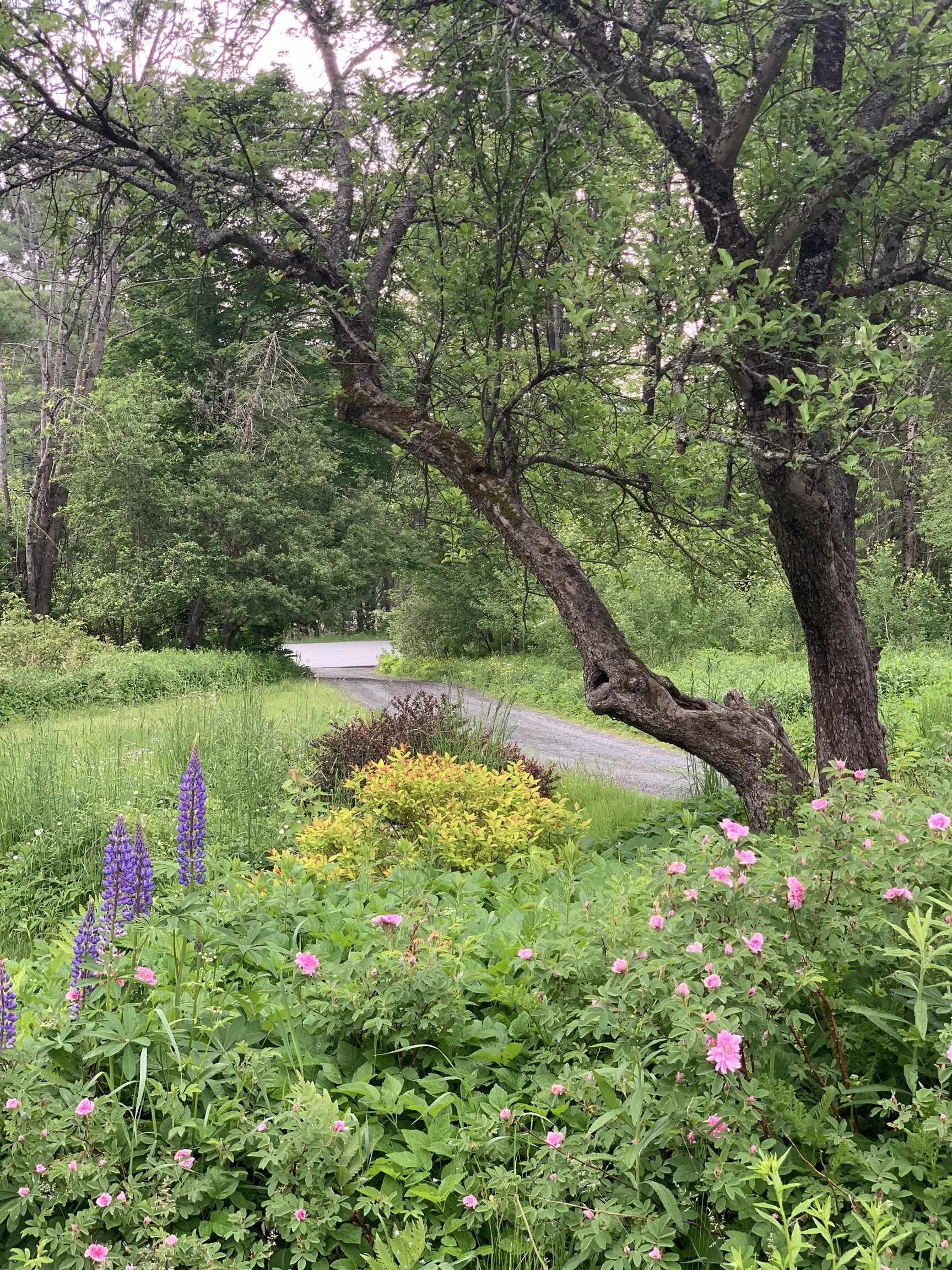 385 New Boston Road Norwich, VT 05055 - Photo 26 of 40