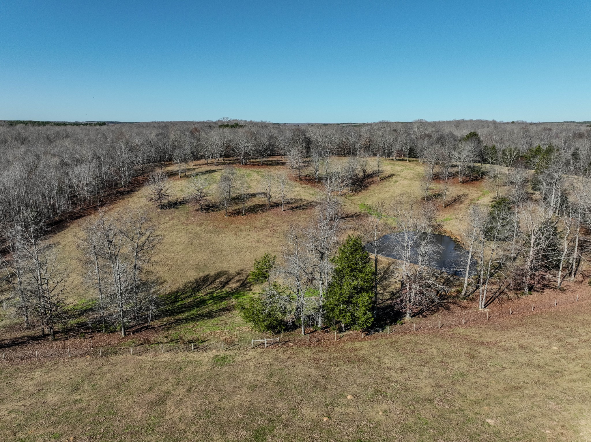 875 Waterloo Road Westpoint, TN 38486 - Photo 29 of 59 a view of a dry yard with wooden fence