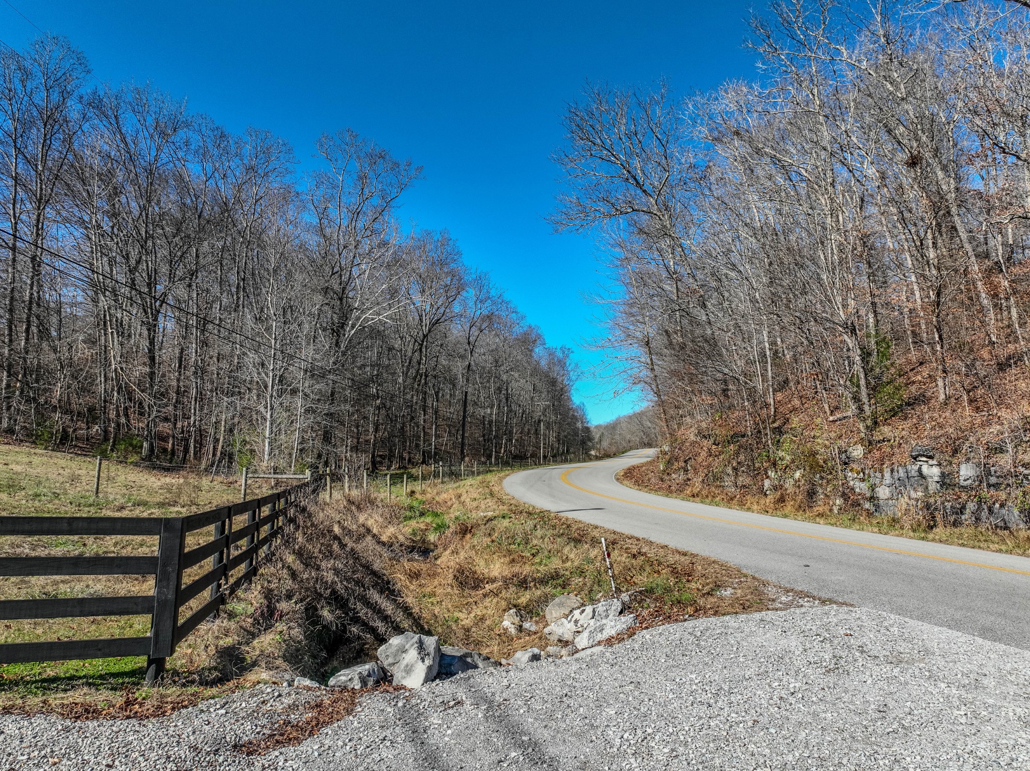 875 Waterloo Road Westpoint, TN 38486 - Photo 30 of 59 a view of a yard with large trees
