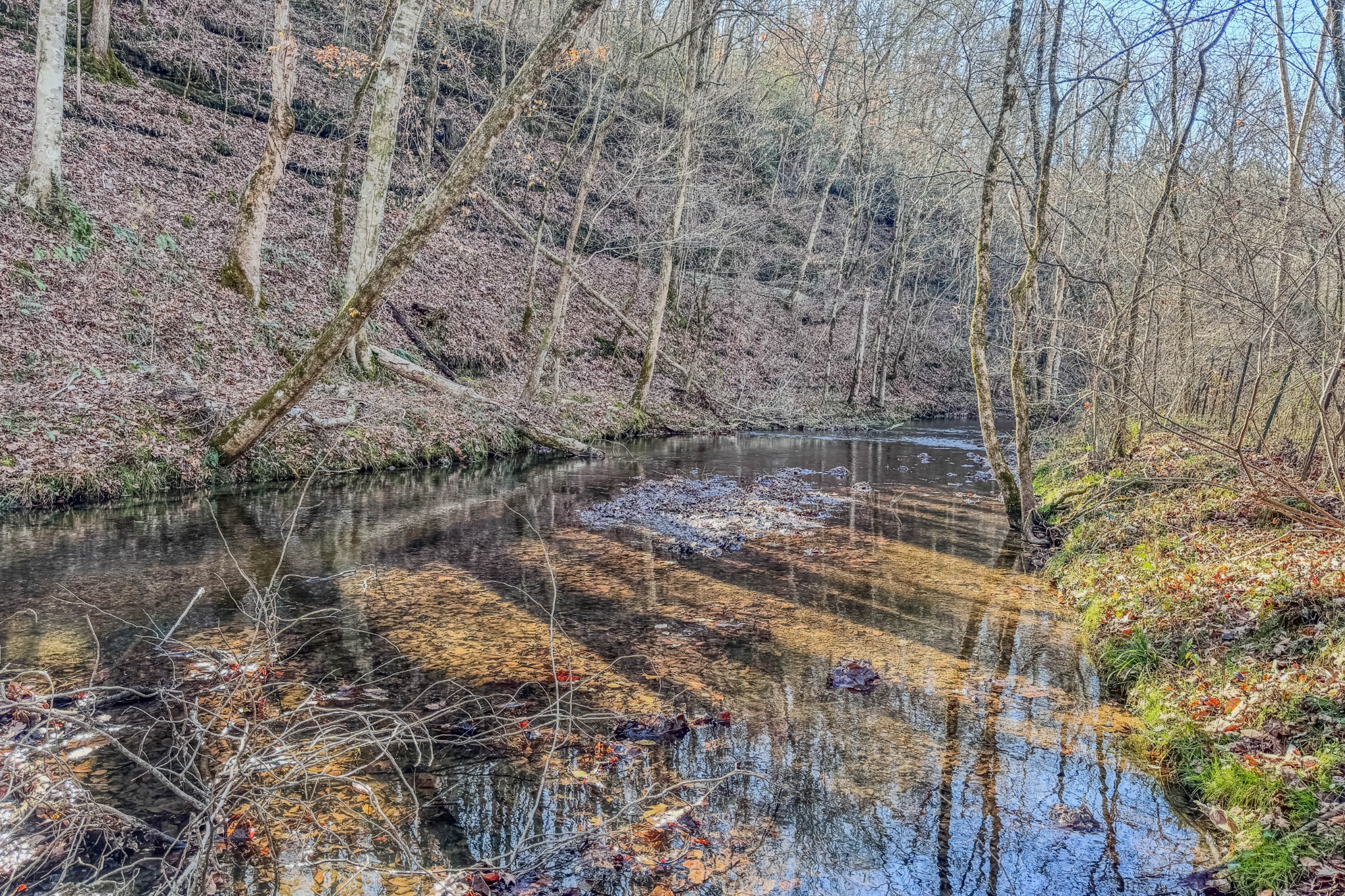 875 Waterloo Road Westpoint, TN 38486 - Photo 3 of 59 a view of a forest with a bench