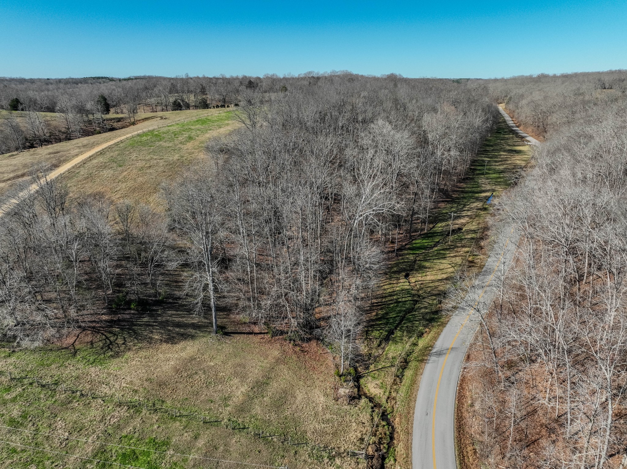 875 Waterloo Road Westpoint, TN 38486 - Photo 31 of 59 a view of a dry yard with green space