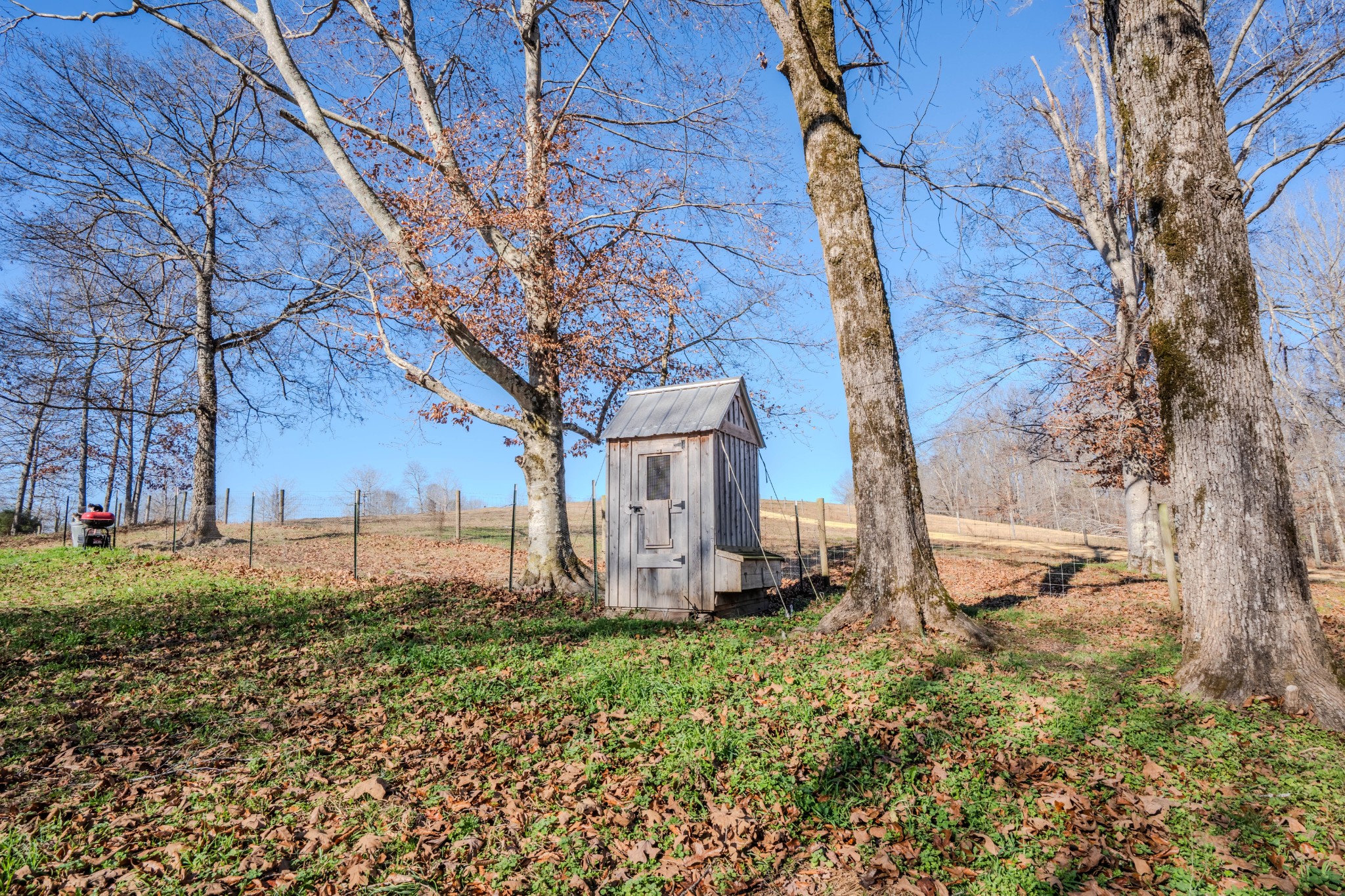 875 Waterloo Road Westpoint, TN 38486 - Photo 35 of 59 a view of a backyard of the house