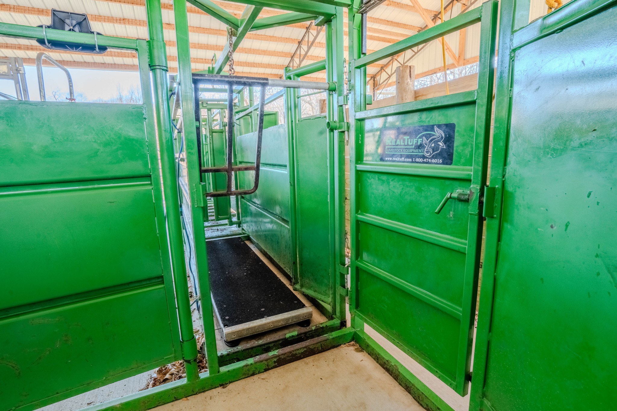 875 Waterloo Road Westpoint, TN 38486 - Photo 42 of 59 a view of a back yard