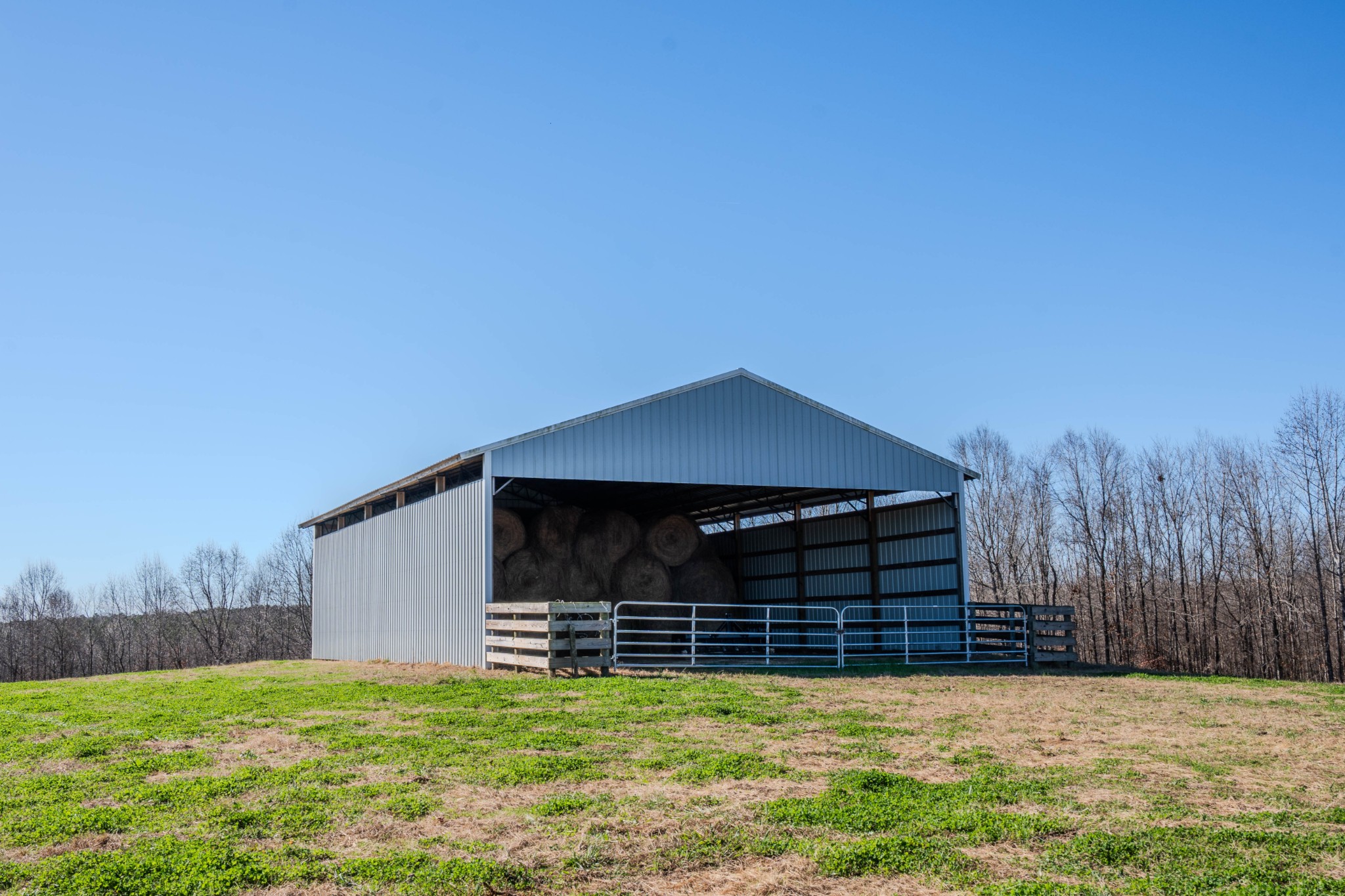 875 Waterloo Road Westpoint, TN 38486 - Photo 47 of 59 a view of a house with a yard