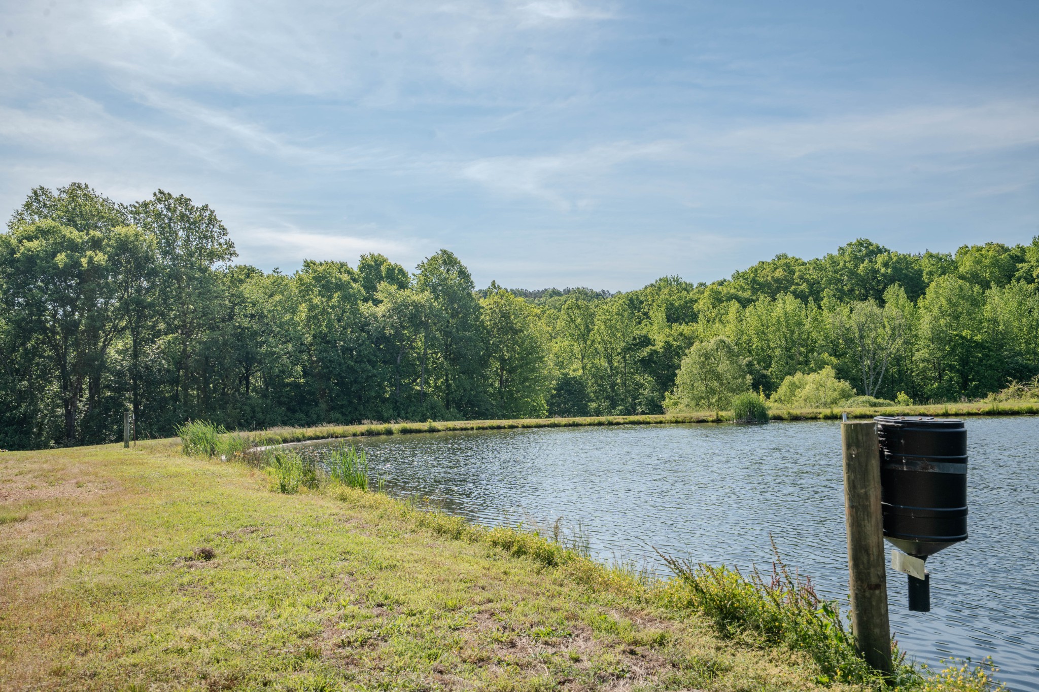 875 Waterloo Road Westpoint, TN 38486 - Photo 50 of 89