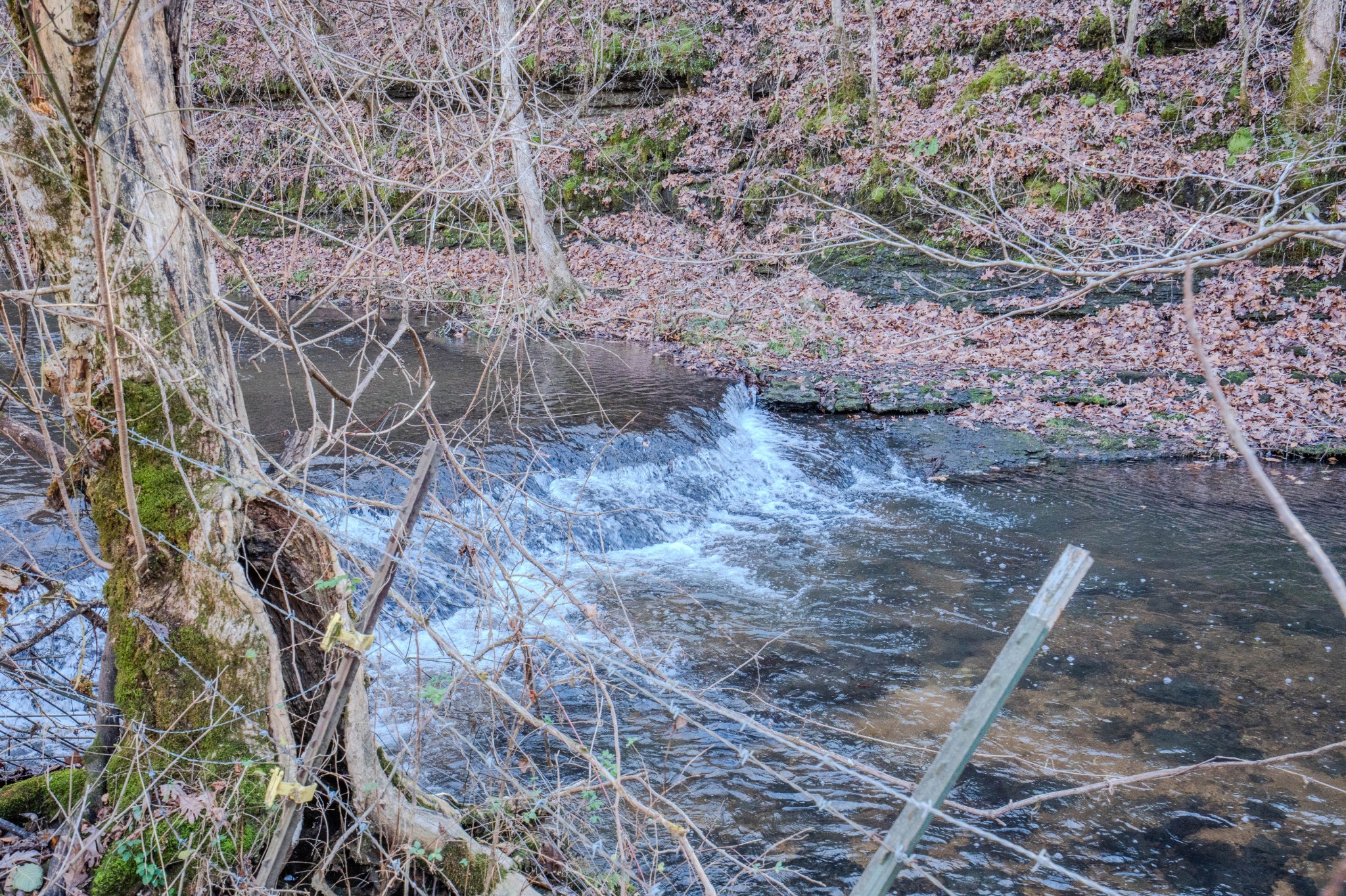 875 Waterloo Road Westpoint, TN 38486 - Photo 59 of 59