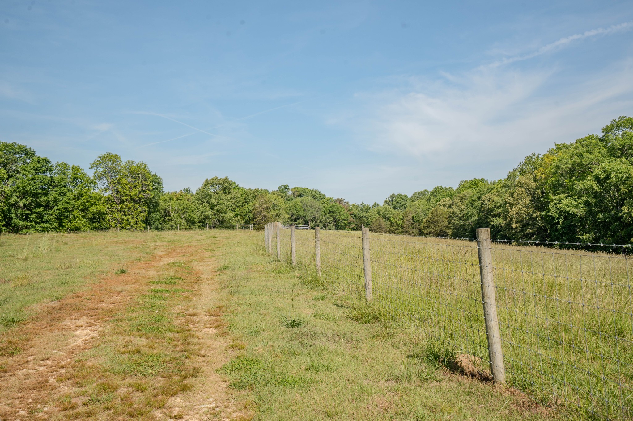 875 Waterloo Road Westpoint, TN 38486 - Photo 68 of 89