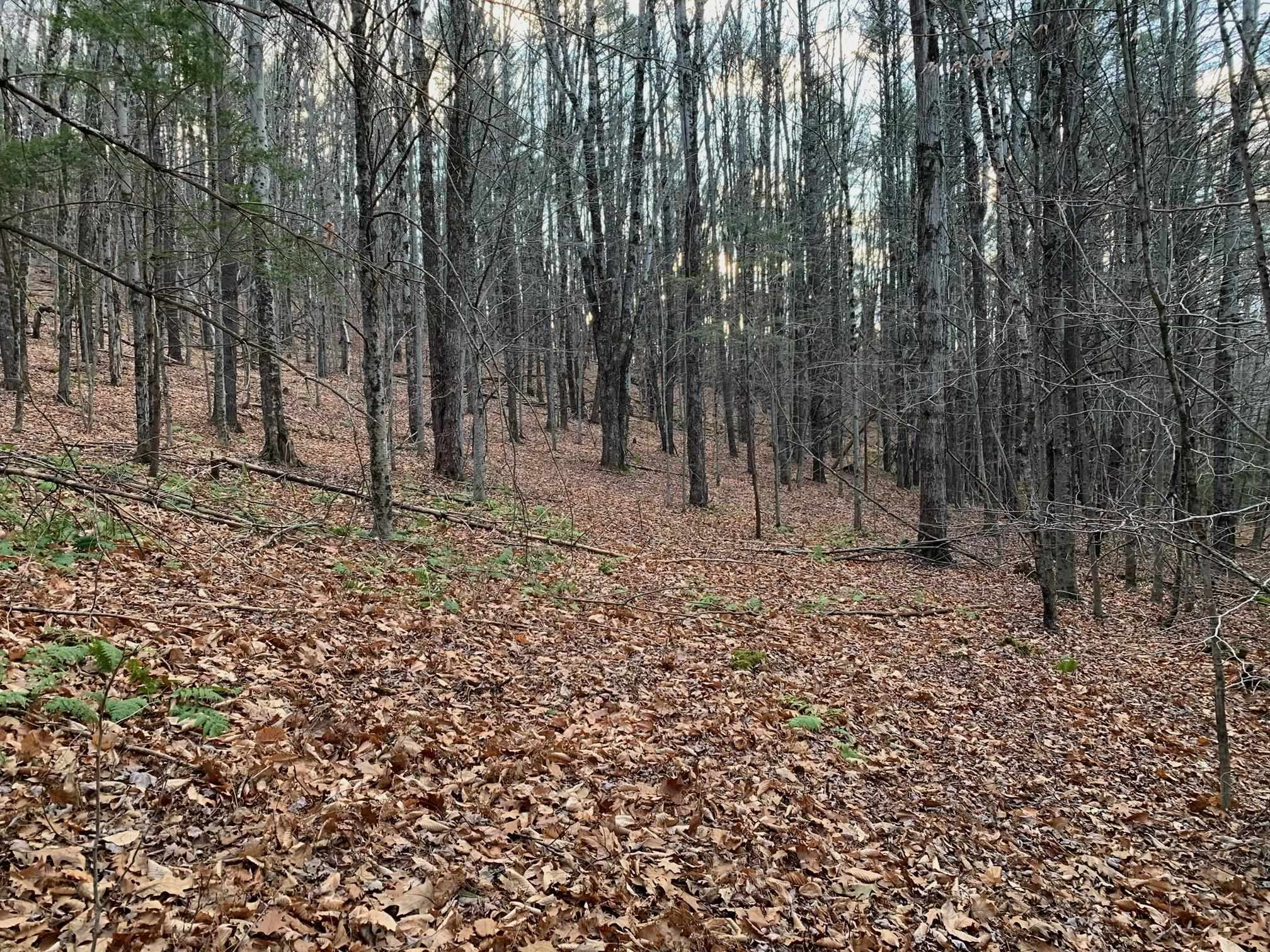 0 Jericho Street White River Junction, VT 05001 - Photo 11 of 14