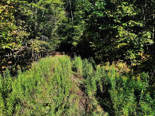 $215,000 | 0 Jericho Street, White River Junction, VT 05001