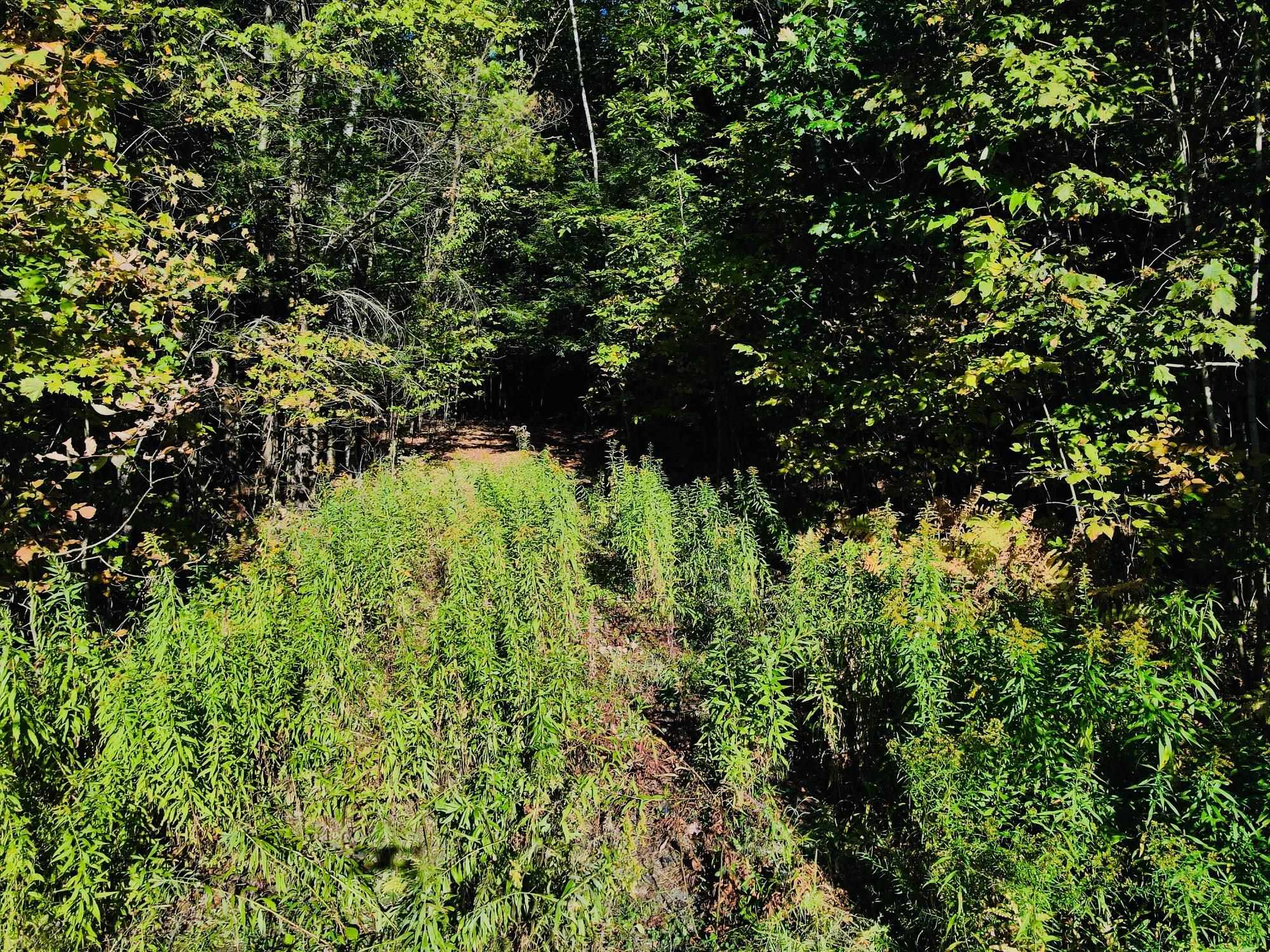 0 Jericho Street White River Junction, VT 05001 - Photo 3 of 14