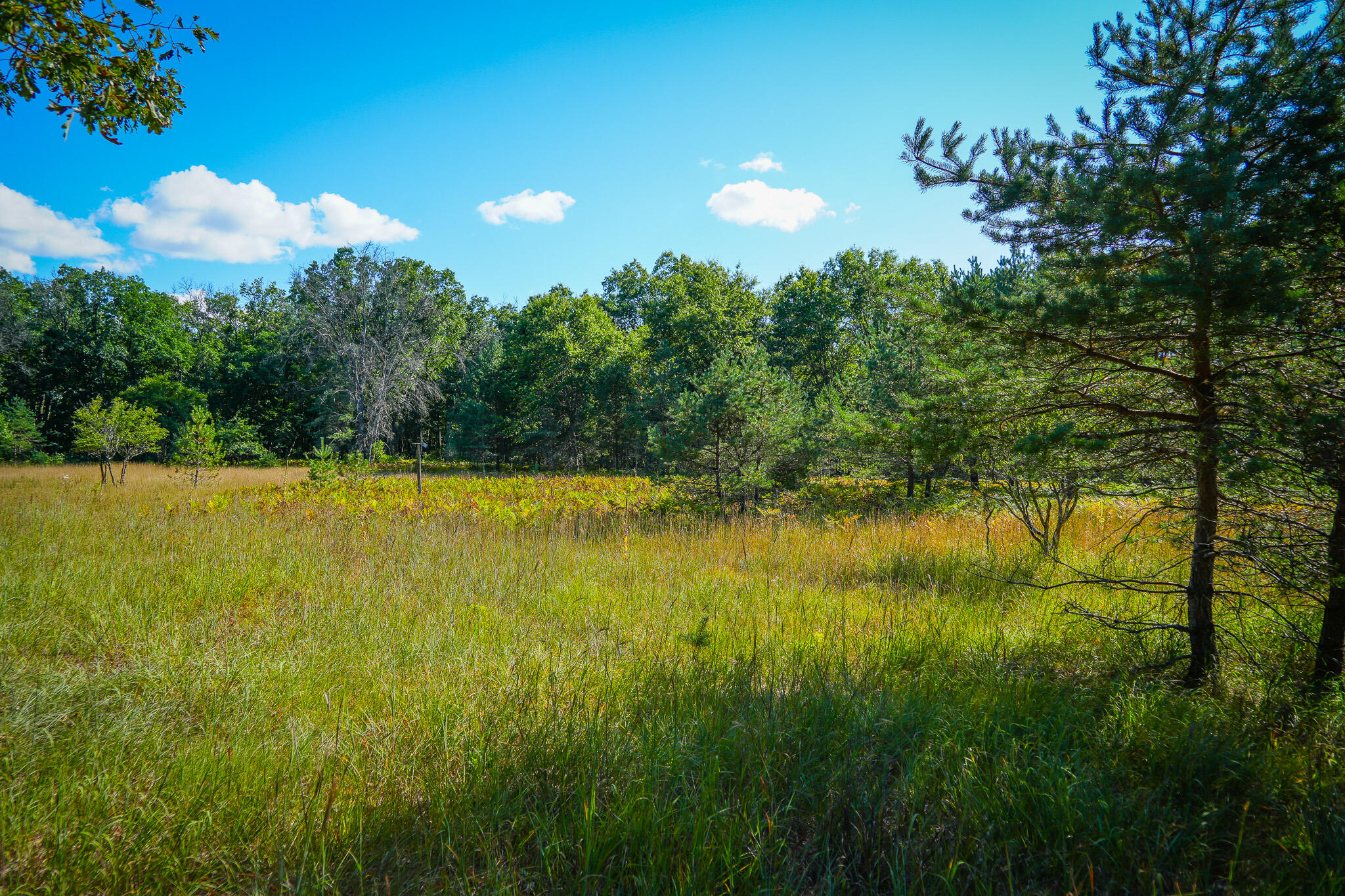 10 West Mile Road Irons, MI 49644 - Photo 12 of 42 DSC01401