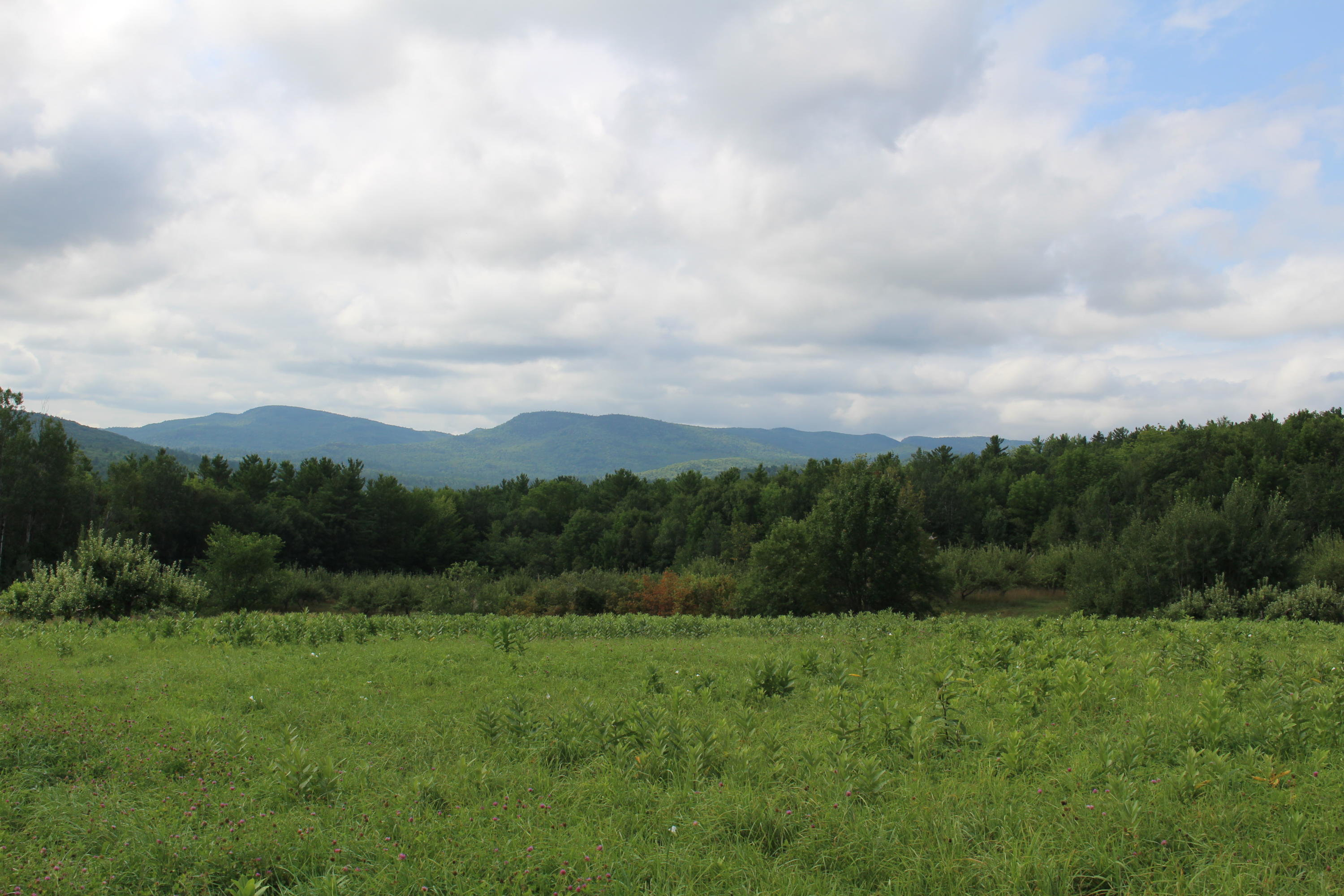 684 Grover Hill Road Bethel, ME 04217 - Photo 49 of 77 IMG_1855